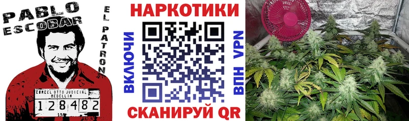 Названия наркотиков Щёлкино Бошки Шишки Амфетамин A PVP МЕФ ГАШИШ КОКАИН