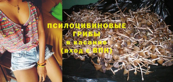 синтетический гашиш Алексеевка
