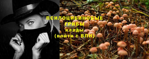 синтетический гашиш Алексеевка