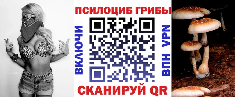 Псилоцибиновые грибы Psilocybe  Щёлкино 